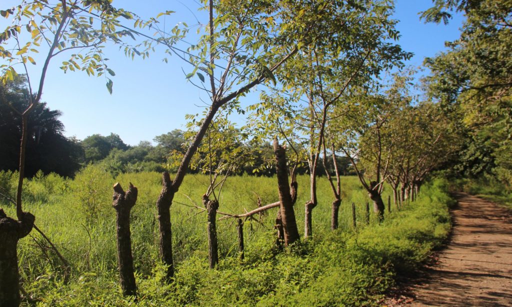Vorbereitungen Reise Costa Rica
